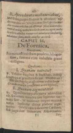 Caput III. De Formica