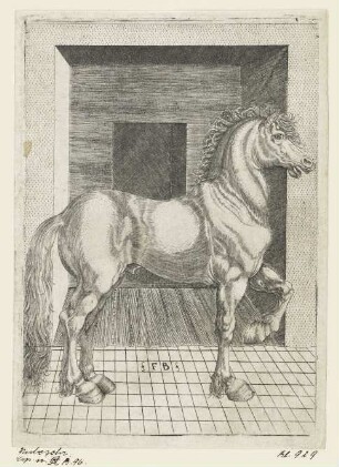 Kleines Pferd