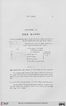 Chapter IV: The bases