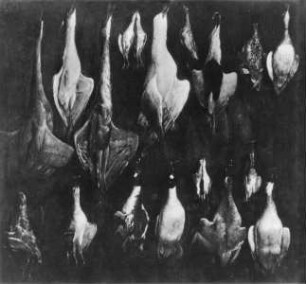 Stilleben mit Jagdbeute