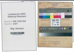 Entnazifizierung Hermann Birg , geb. 17.06.1901 (Unternehmer)