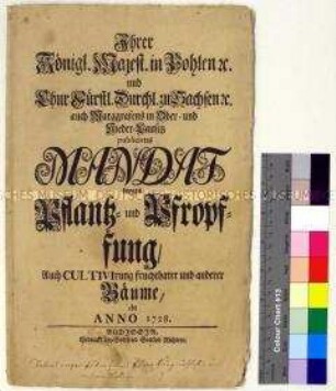 Mandat von Friedrich August I. Kurfürst von Sachsen betreffend Kultivierung und Aufforstung der Oberlausitz