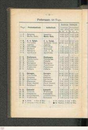 Tractatus Physico-Medicus, De Opio