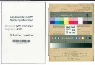 Entnazifizierung Josefine Schnitzler , geb. 06.01.1894 ()