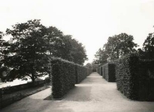 Elbtallandschaft. Pillnitz. Schloßpark, Heckengärten mit dem Elbufer