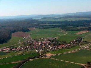 Bibra