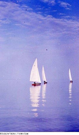 Ungarn, Balaton? Drei weiße Segelboote