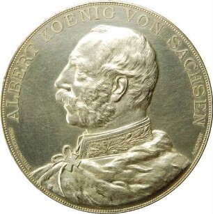 König Albert - Für Kunst (Preismedaille für Akademische Kunstausstellungen zu Dresden)