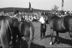 St. Märgen: Tag des Schwarzwälder Pferdes; Aufstellung zum Pferdesegen