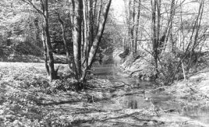 Rietschen-Teicha. Ehem. Mühle, Untergraben am Mühlteich