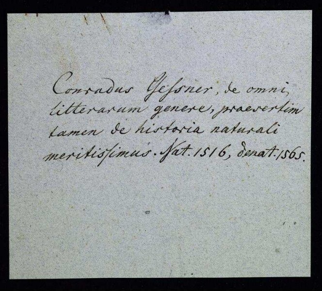 Gesner, Conrad