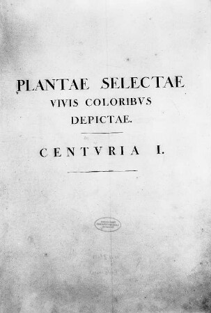 Plantae selectae vivis coloribus depictae.
