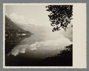 Berghütte am Brienzersee