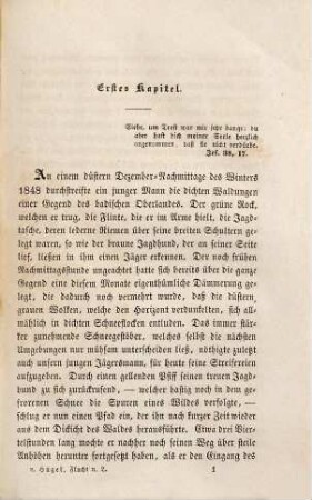 Die Flucht nach Lauterburg oder Bilder aus der letzten badischen Revolution : Novelle