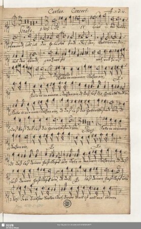 Cantus. Concert: