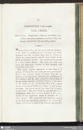 Ammonites Greenoughi. Tab. CXXXII