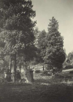 Alter Friedhof