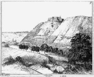 Federzeichnung "Freyburg und Schloss Neuenburg von Süden"