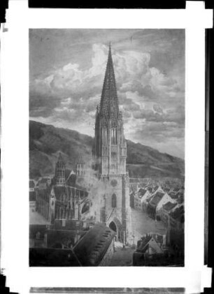 Das Freiburger Münster