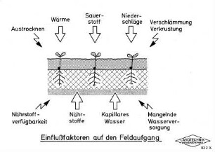 Einflußfaktoren auf den Feldaufgang