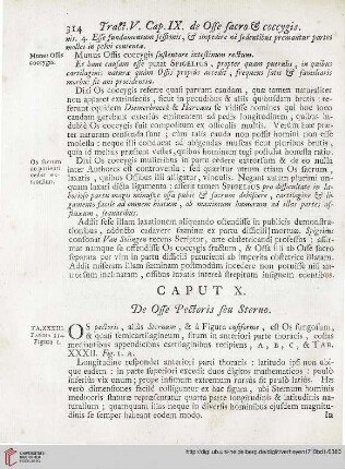 Caput X: De Osse Pectoris seu Sterno