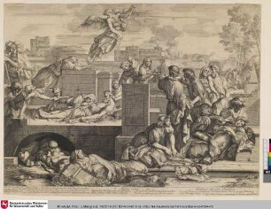 AEgros curare