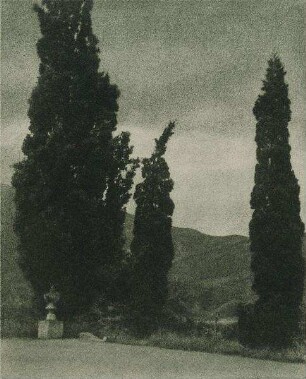 Zypressen vor Berglandschaft