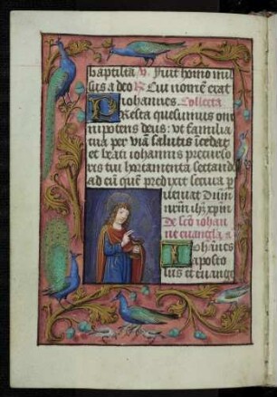 Miniatur-Textzierseite: (Suffragium) Johannes Evangelist; Trompe l'oeil-Rahmen mit Rankenzweigen und Vögeln