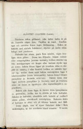 Slägtet Coluber (Linné)