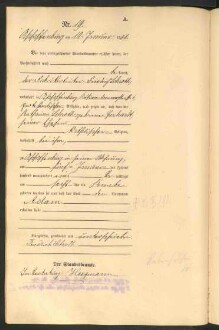 Standesamtsbuch der Stadt Aschaffenburg: Geburten 365/1900 - 184/1901
