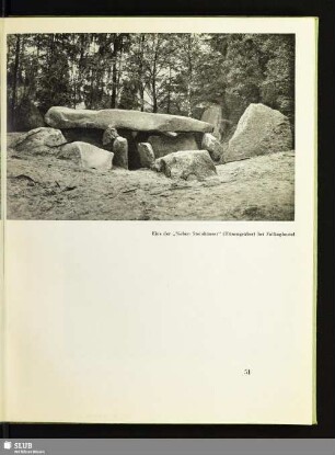 Eins der „Sieben Steinhäuser“ (Hünengräber) bei Fallingbostel