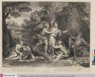 Daphne Penei filia, Apollinen amatoren fugiens, mutatur ope patris in laurum; Daphné fille du fleuve Peneé, fuyant Apollon, est changée par le secours de son pere en laurier
