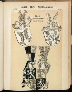 Taf. 303. Salm, (Ober u. Nieder-) nach Grünenberg.