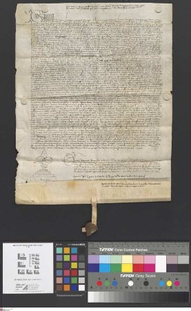 Seligenstadt: Instrumentum notariale super executione bullae Eugenii IV. de 1430 ratione bonorum monasterii in Seligenstadt illicite alienatorum