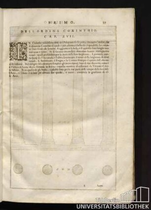 Dell' ordine corinthe Cap. XVII