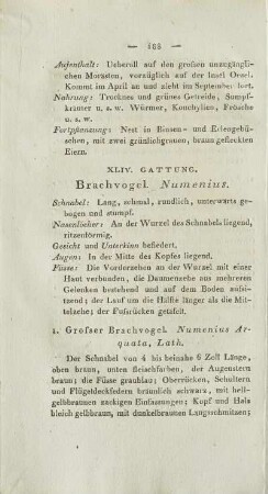 XLIV. Gattung. Brachvogel. Numenius
