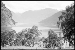 Flåm: Aurlandfjord, Aurlandfjord von oben, Vordergrund Bäume von Flåm aus