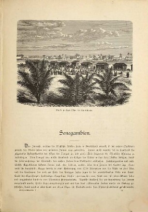 Europas Kolonien, [1]. West-Afrika vom Senegal zum Kamerun