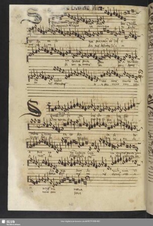 [Anon.: Salve mirae sanctitatis]