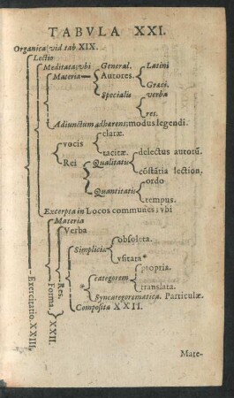 Tabula XXI.