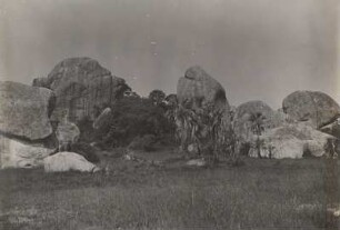 Granitfelsen mit Borassus-Palmen. Gemark.Irindi. Ugogo