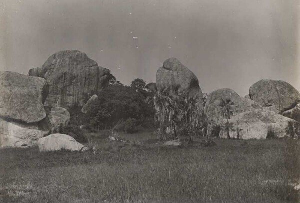 Rocher de granit avec des palmiers borassus. Commune d'Irindi. Ugogo