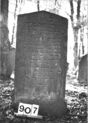 Grabstein 907 (Index: 99899385) Material: Sandstein Zustand: angewittert Maße HxBxT: 98x47x7 cm Beschreibung: Stele mit Dreiecksabschluss, im Dreiecksfeld Blüten Symbolik: Blüten: Grabstein 907