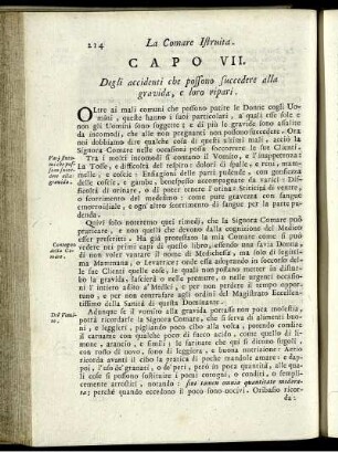CAPO VII.