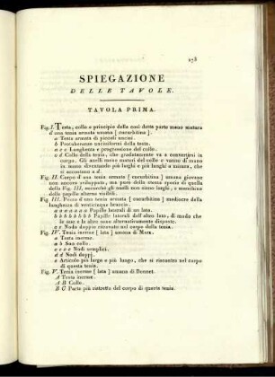 Spiegazione Delle Tavole.