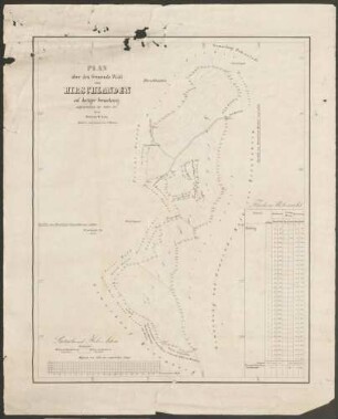Plan über den Gemeinde-Wald von Hirschlanden auf dortiger Gemarkung