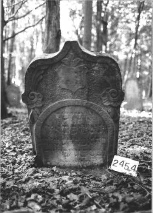 Grabstein 2454