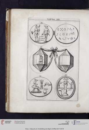 Capvt VIII: Tabvla XII. XIII.