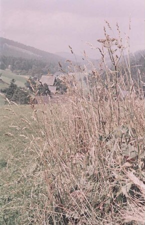 Blick auf eine Ortschaft im Erzgebirge