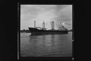 Helga Witt (1961), H. Witt, Hamburg